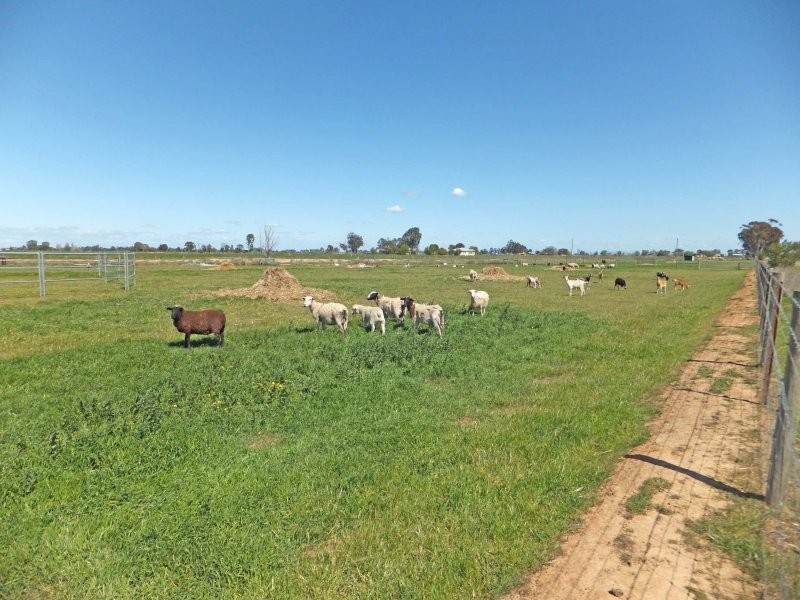 491 Murphy Road, Tongala VIC 3621