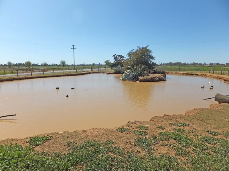 491 Murphy Road, Tongala VIC 3621