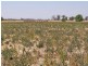 Weller Road, Lancaster VIC 3620