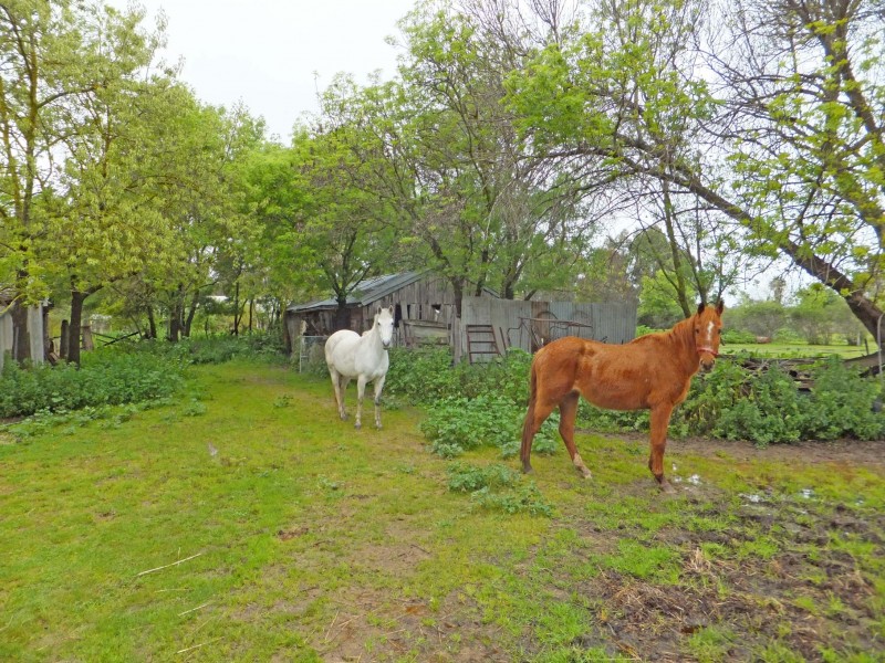 24 Tisdall Road, Kyabram VIC 3620