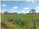 542 Curr Road, Girgarre VIC 3624