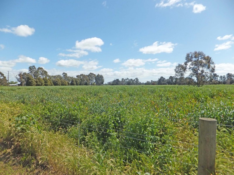 542 Curr Road, Girgarre VIC 3624