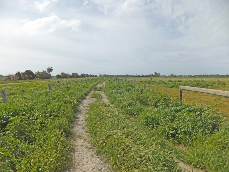 Henderson Road, Tongala VIC 3621