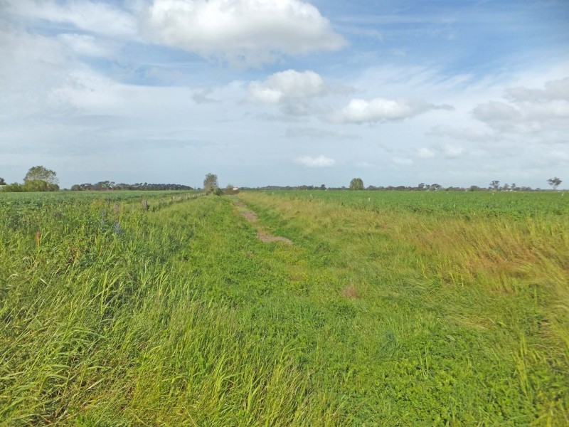 Henderson Road, Tongala VIC 3621