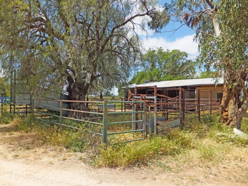 30 Morrissey Street, Merrigum VIC 3618