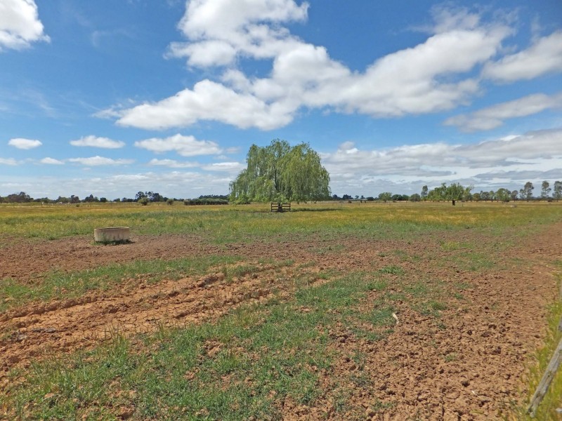 30 Morrissey Street, Merrigum VIC 3618