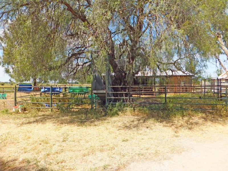 30 Morrissey Street, Merrigum VIC 3618