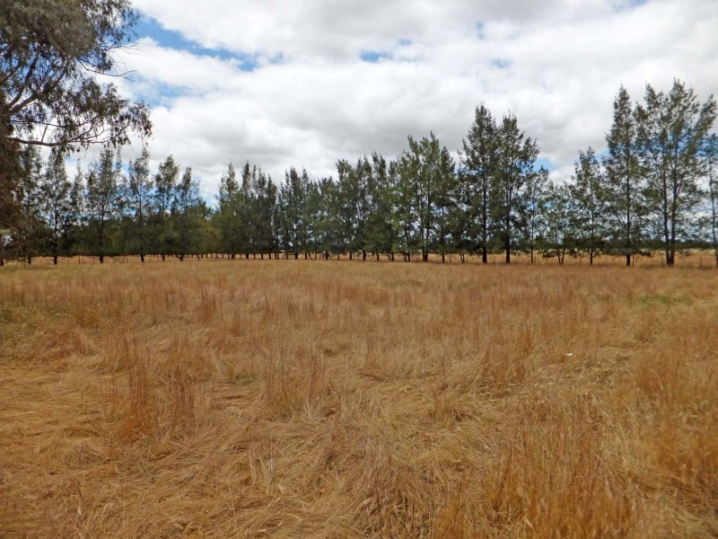 62 John Allan Road, Kyabram VIC 3620
