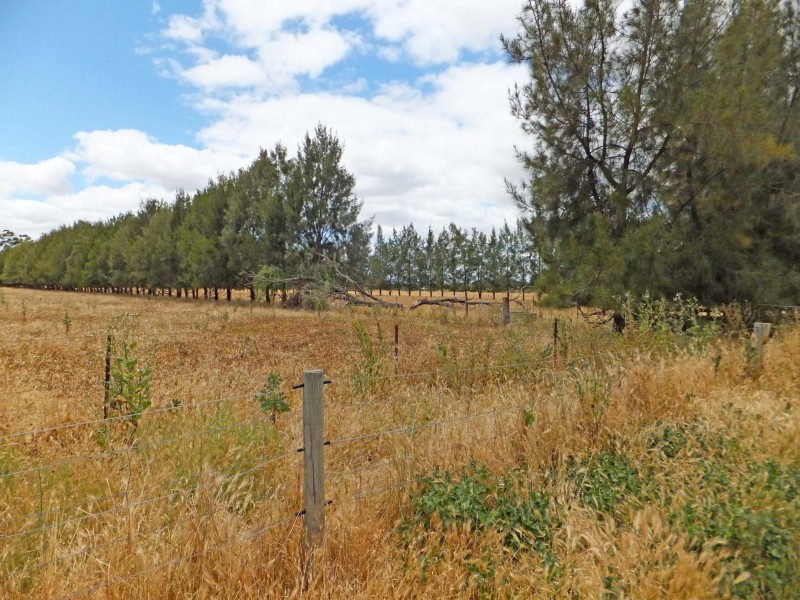 62 John Allan Road, Kyabram VIC 3620