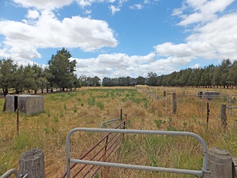 62 John Allan Road, Kyabram VIC 3620