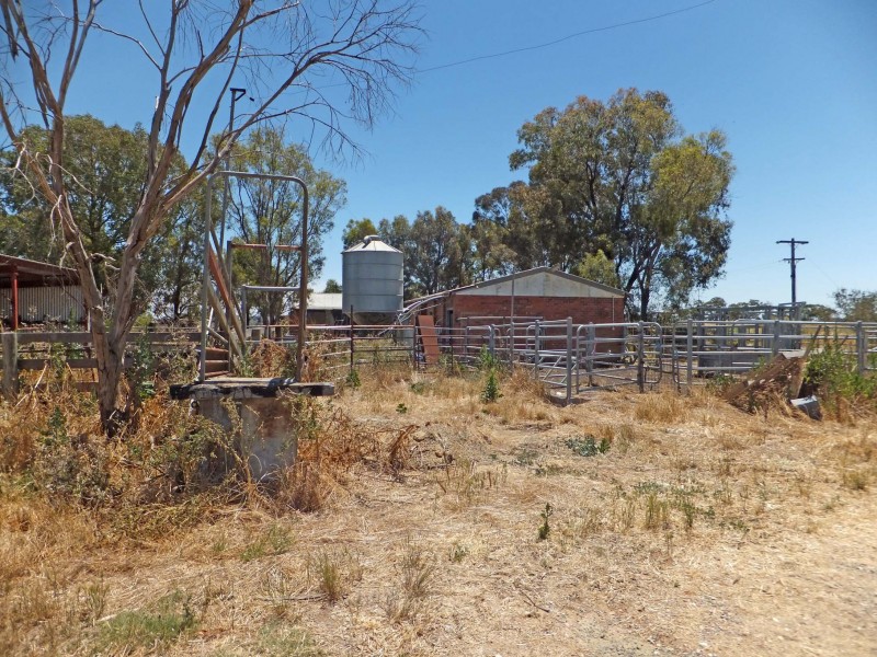 695 Andrews Road, Kyabram South VIC 3620