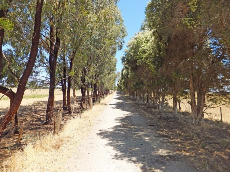 695 Andrews Road, Kyabram South VIC 3620