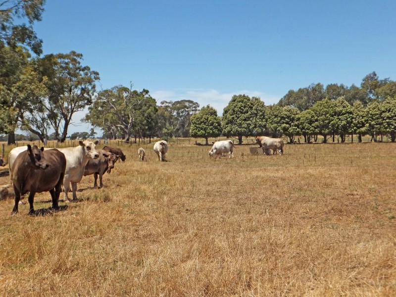 695 Andrews Road, Kyabram South VIC 3620