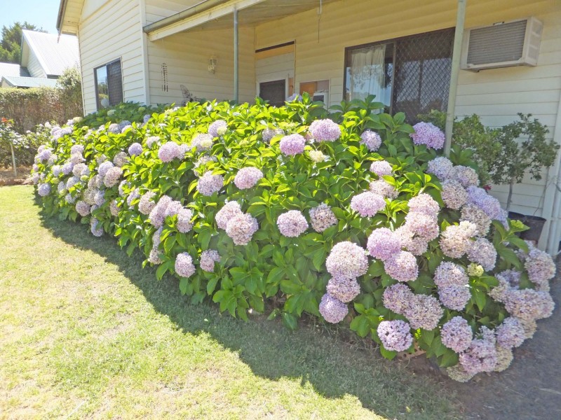 13 Judd Avenue, Merrigum VIC 3618