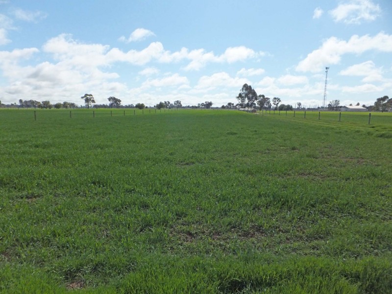 3/35 Morrissey Street, Merrigum VIC 3618