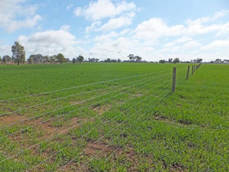 3/35 Morrissey Street, Merrigum VIC 3618