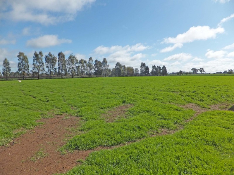 3/35 Morrissey Street, Merrigum VIC 3618