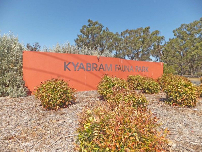 0 Cnr. South Boundary & McEwen Roads, Kyabram VIC 3620