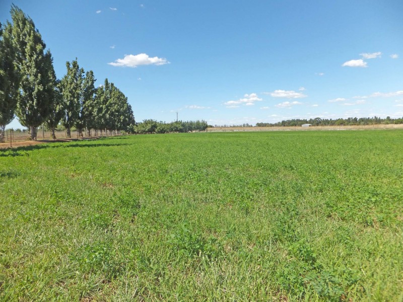 1074 Finlay Road, Kyabram VIC 3620