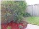 7/19 Allan Street, Kyabram VIC 3620