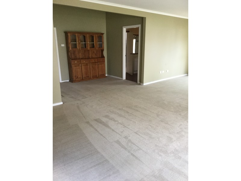 16 Ryrie Street, Stanhope VIC 3623