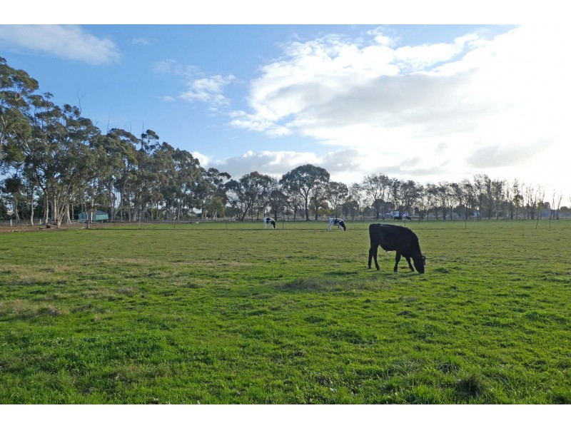 5 Weller Road, Lancaster VIC 3620