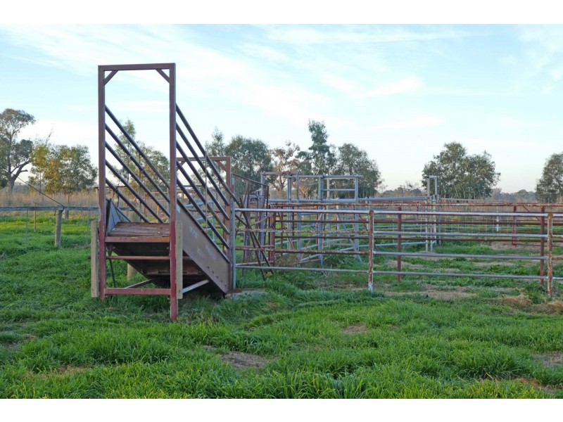 186 Alfred Road, Wyuna VIC 3620