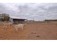 974 Everard Road, Tongala VIC 3621