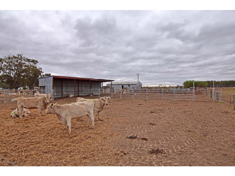 974 Everard Road, Tongala VIC 3621