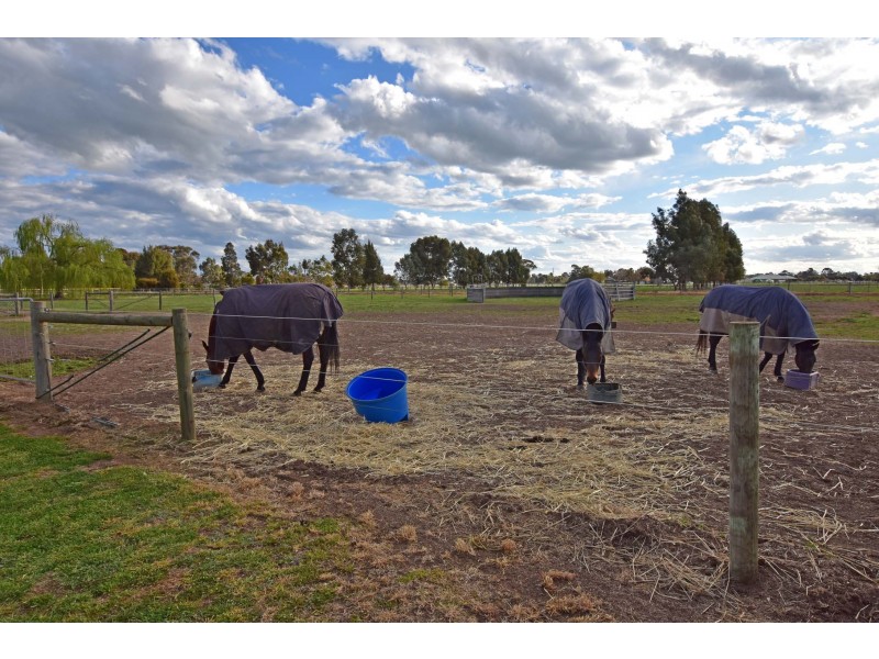 58 Everard Road, Kyabram VIC 3620
