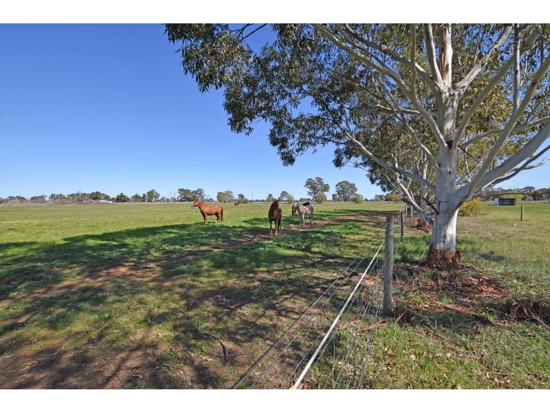 3942 Midland Highway, Stanhope VIC 3623