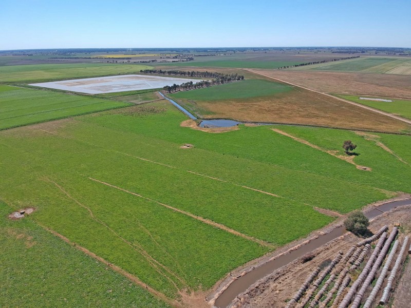 1151 McKenzie Road, Echuca VIC 3564