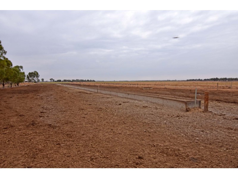 1151 McKenzie Road, Echuca VIC 3564