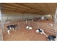 1151 McKenzie Road, Echuca VIC 3564