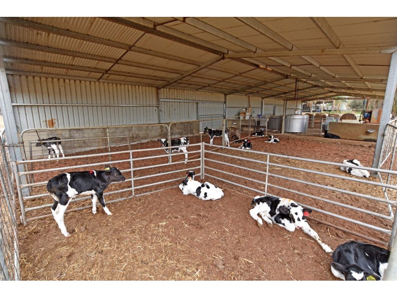 1151 McKenzie Road, Echuca VIC 3564