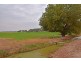 1151 McKenzie Road, Echuca VIC 3564