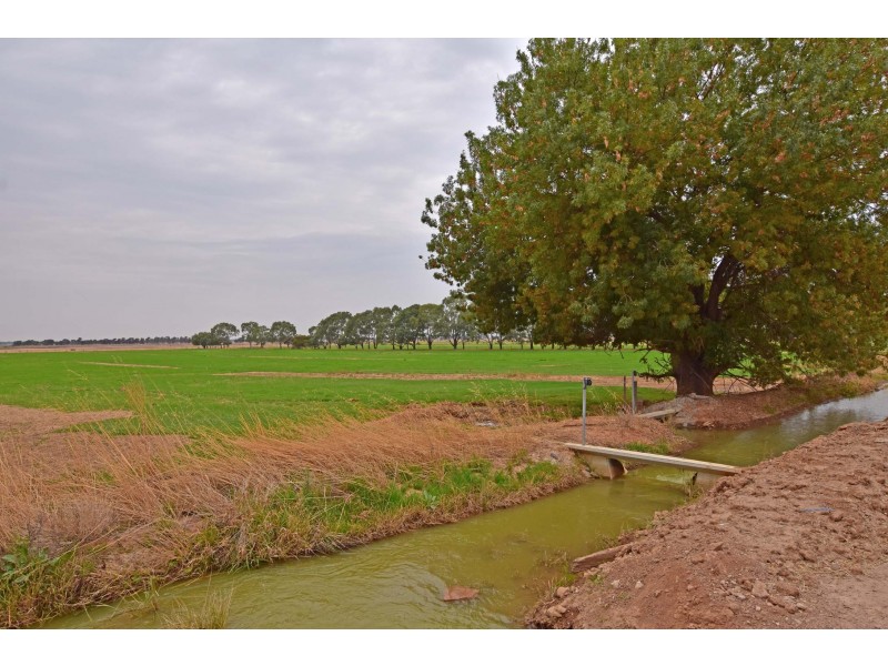 1151 McKenzie Road, Echuca VIC 3564