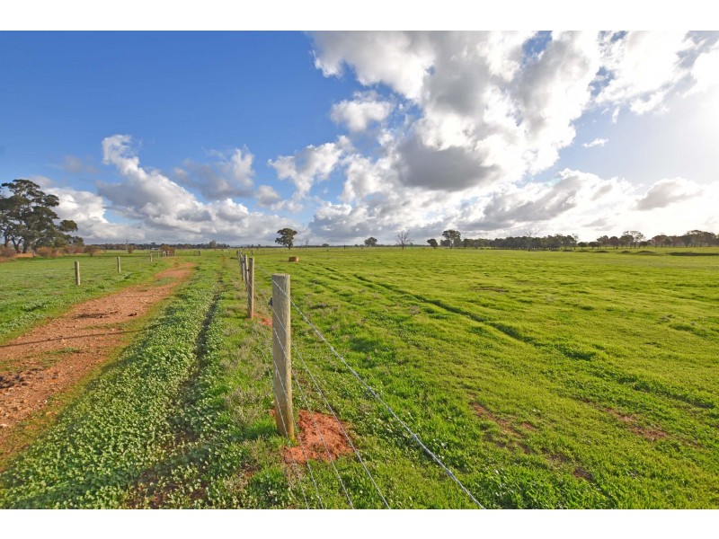 3119 Midland Highway, Carag Carag VIC 3623