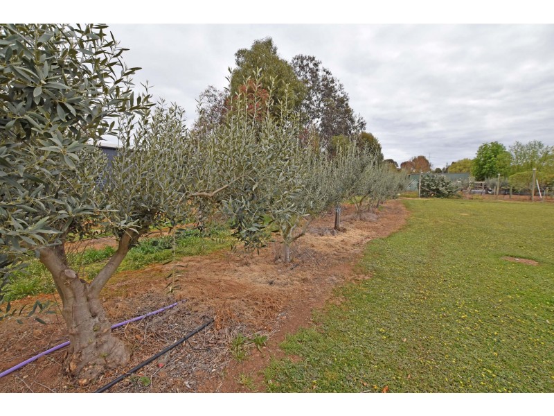 2 Jenmar Drive, Kyabram VIC 3620