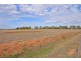 1105 Byrneside-Gillieston Road, Lancaster VIC 3620