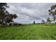 335 Andrews Road, Kyabram South VIC 3620