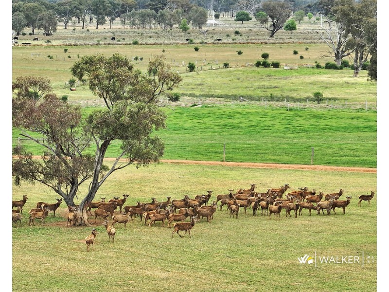 525 McGrath Road, Stanhope VIC 3623