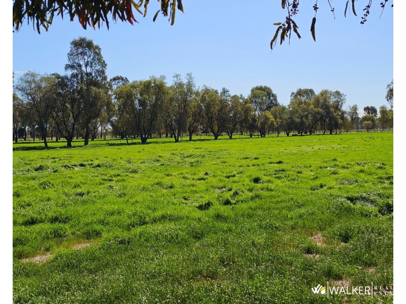 2090 Wilson Road, Koyuga VIC 3622