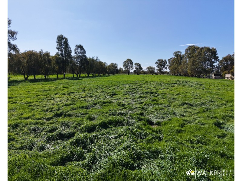 2090 Wilson Road, Koyuga VIC 3622