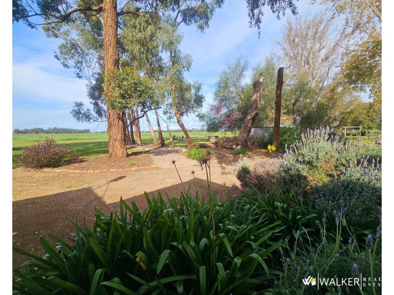 3297 Graham Road, Nanneella VIC 3561