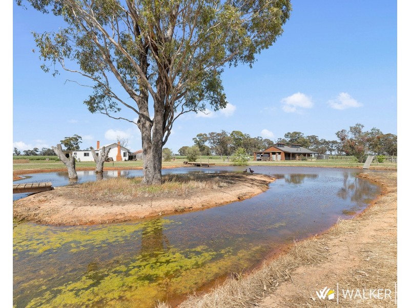 335 Andrews Road, Kyabram South VIC 3620