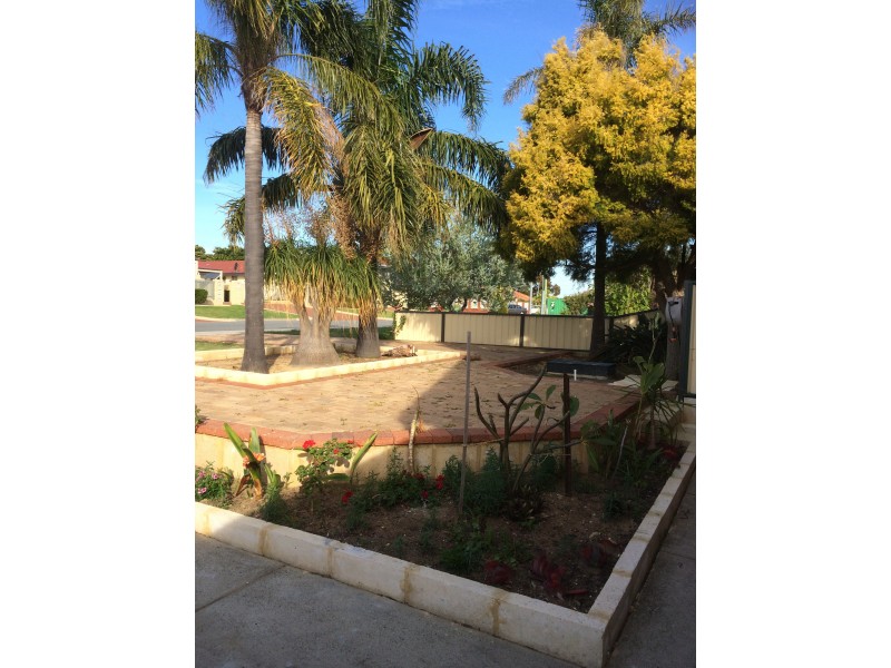 7 Brindle Street, Coolbellup WA 6163