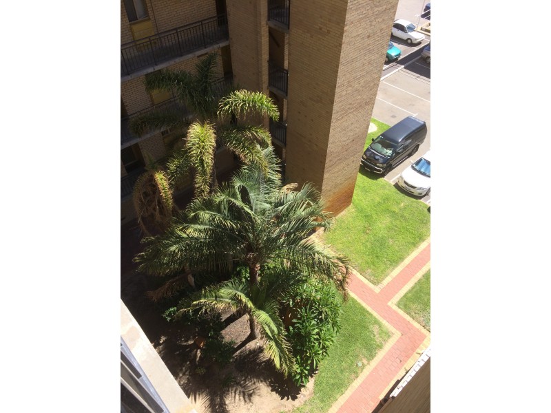 53/34 Arundel Street, Fremantle WA 6160