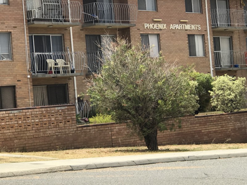 41/15 Glendower Way, Spearwood WA 6163