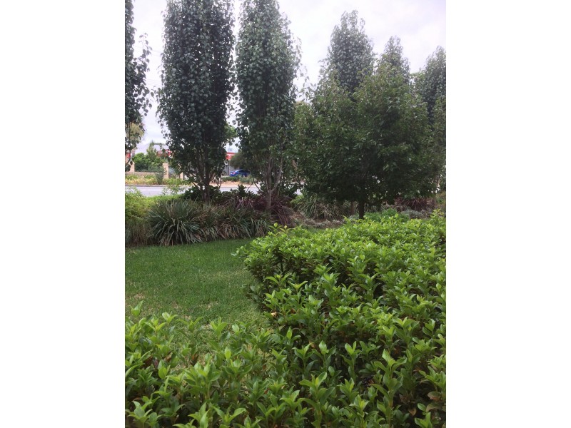 6/221 Clontarf Road, Hamilton Hill WA 6163